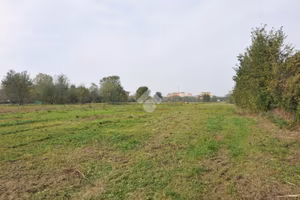 TER. AGRICOLO A BOLOGNA