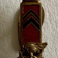 Distintivi reparto e grado Regio Esercito Italiano