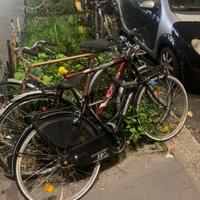 Mountain Bike + Bici da Passeggio