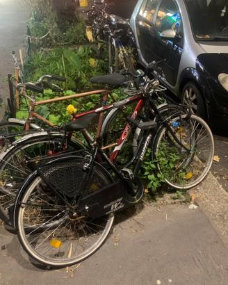 Mountain Bike + Bici da Passeggio