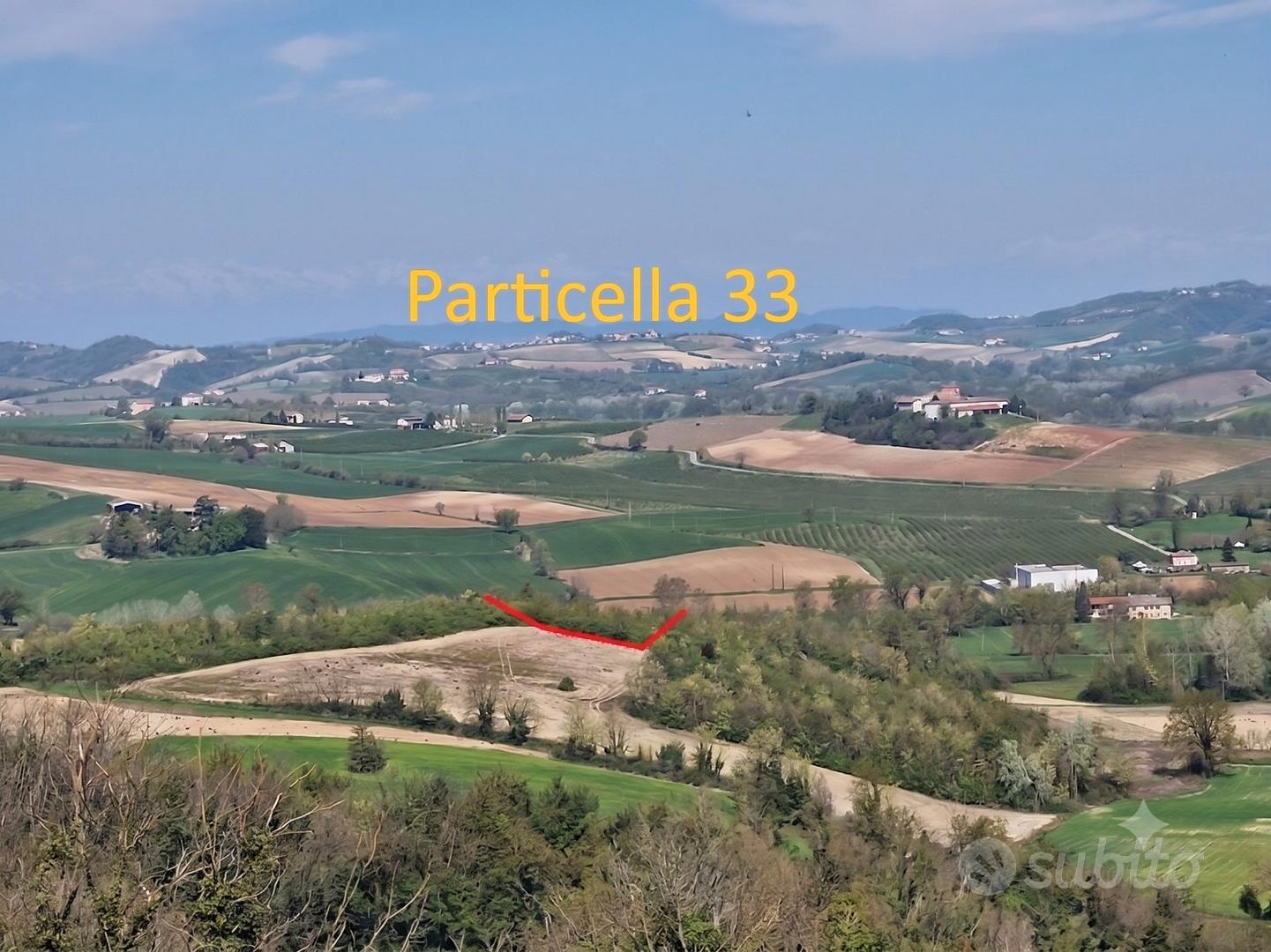 Terreni Agricoli Camagna Monferrato (AL) - Vista 3