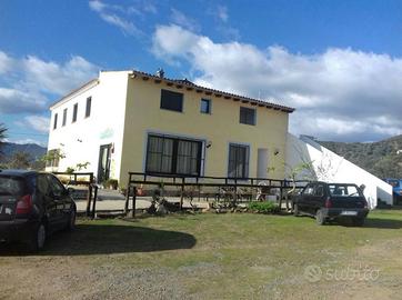 Sardegna vacanze relax a pochi minuti dal mare