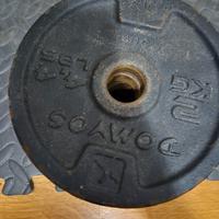 Dischi di ghisa Domyos + manubri 