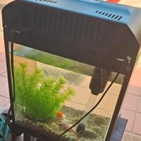 Acquario a LED 18-20 litri circa 