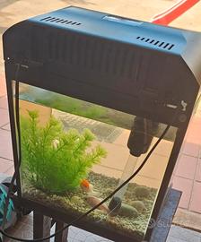 Acquario a LED 18-20 litri circa 