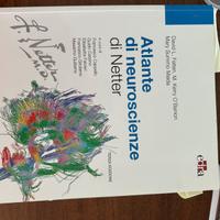 Atlante di neuroscienze Netter