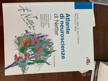 Atlante di neuroscienze Netter