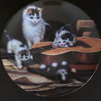 Piatti ceramica "Cats Life"