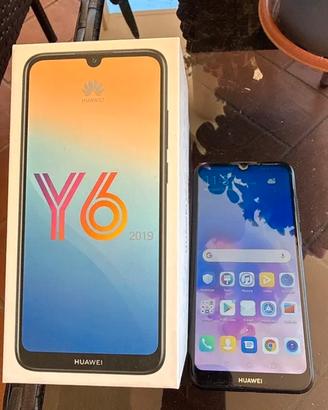 Huawei y6