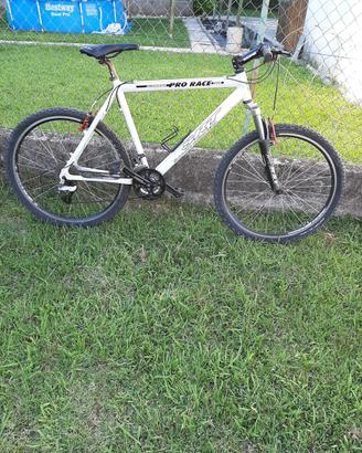 Mountain bike