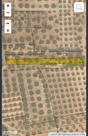 Terreno agricolo in agro di Torricella (TA)