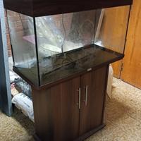 acquario juwel 123 marrone con mobile