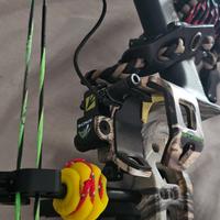 Arco compound thorns 