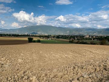Terreni - frazionabili su richiesta - Spoleto (PG)