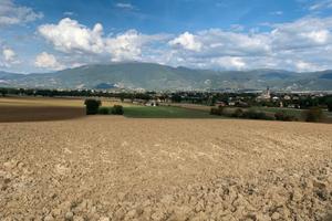 Terreni - frazionabili su richiesta - Spoleto (PG)