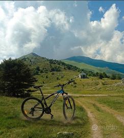 Mountain bike Rockrider 340 taglia M