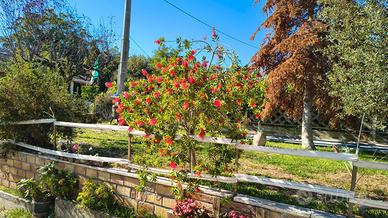 Appartamento Giuliano Teatino