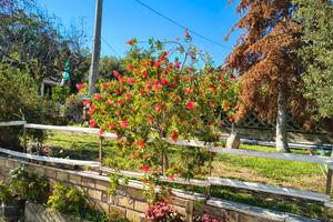 Appartamento Giuliano Teatino