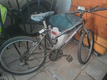 Bicicletta Mountain Bike PHOENIX 
 