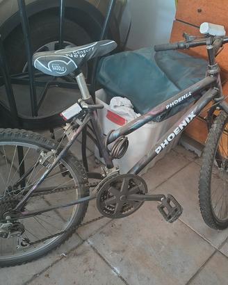 Bicicletta Mountain Bike PHOENIX 
 