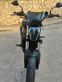 Benelli 502 c cruiser