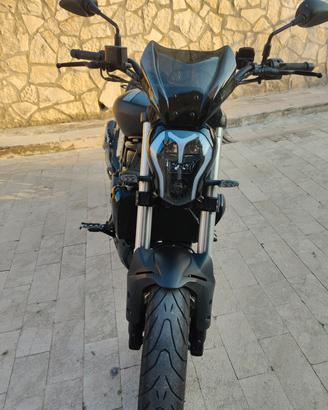 Benelli 502 c cruiser