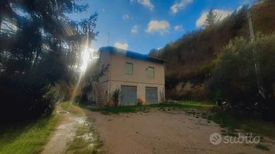 Canavaccio di Urbino