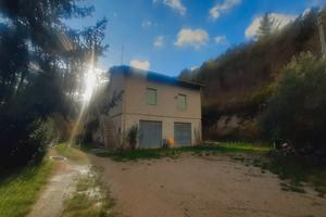 Canavaccio di Urbino