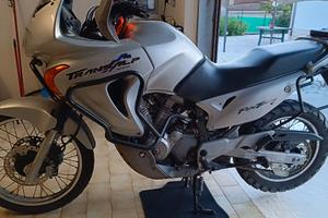 Honda Transalp 650  perfetta