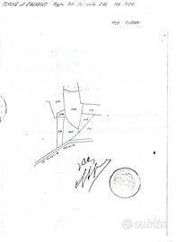 Zagarolo terreno agricolo