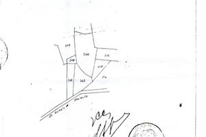 Zagarolo terreno agricolo