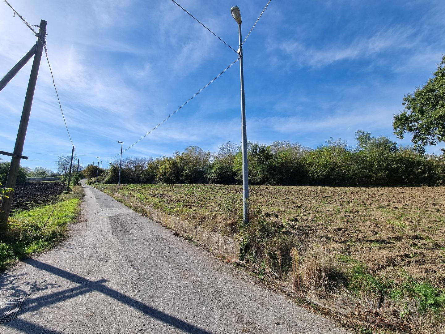 Terreno agricolo pianeggiante e fronte strada - Vista 4