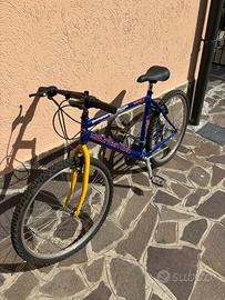Bicicletta nuova