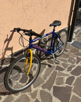 Bicicletta nuova