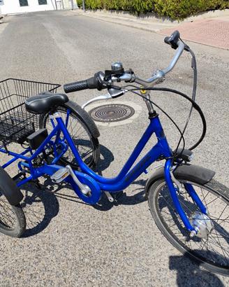 bici 3 ruote elettrica