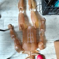 Modellino Anatomico Educativo – Scheletro e Organi