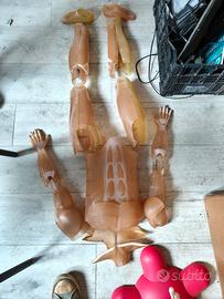 Modellino Anatomico Educativo – Scheletro e Organi