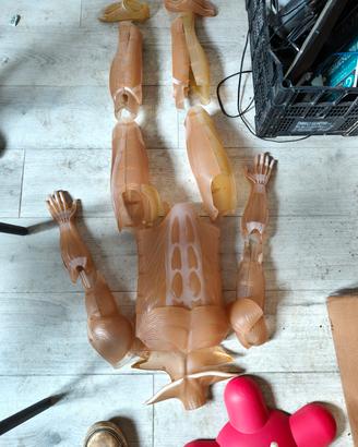 Modellino Anatomico Educativo – Scheletro e Organi