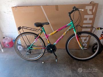 Bicicletta 10/12 anni