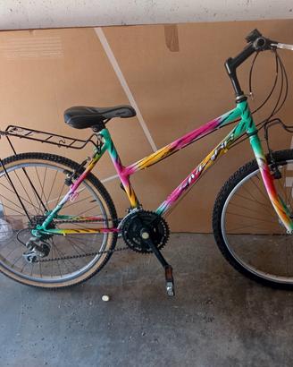 Bicicletta 10/12 anni