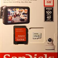 Sandisk Micro SDXC 256GB High Endurance