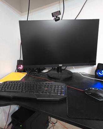 PC + monitor