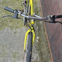 bicicletta mtb