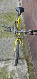 bicicletta mtb