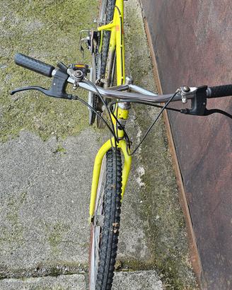 bicicletta mtb