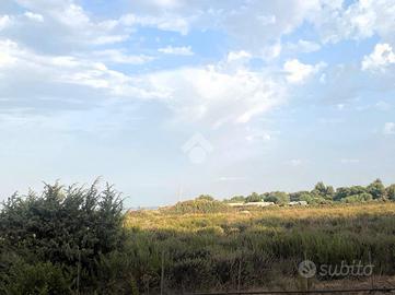 TER. AGRICOLO A STINTINO