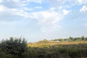 TER. AGRICOLO A STINTINO