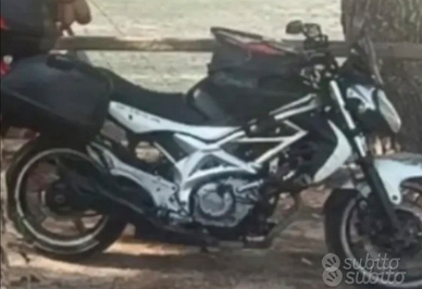 SFV Gladius 2011 nera