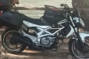 Suzuki Gladius 650 | Tagliandata e revisionata |