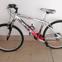 bicicletta ragazzo 